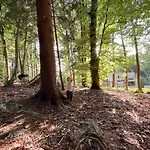 Des Bois De