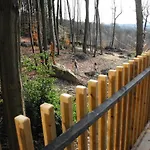 Des Bois De *