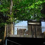 Des Bois De *