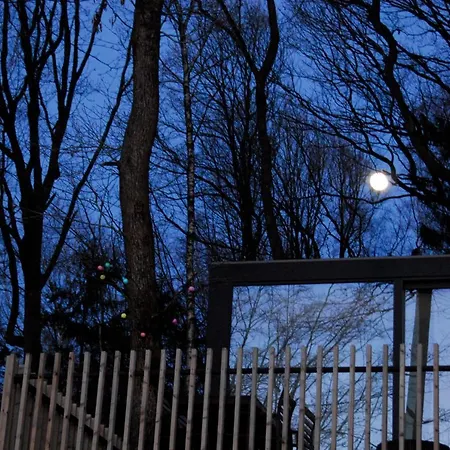 فيلة Des Bois De *