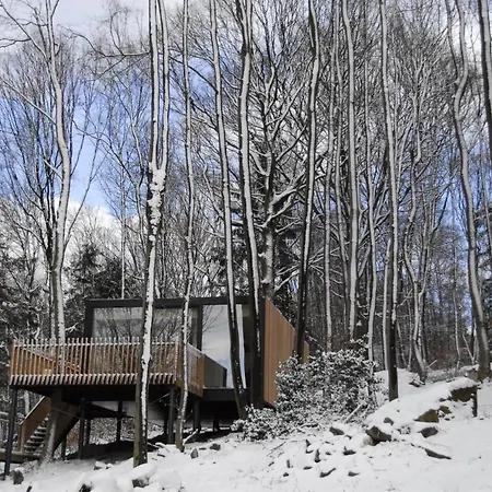 فيلة Des Bois De