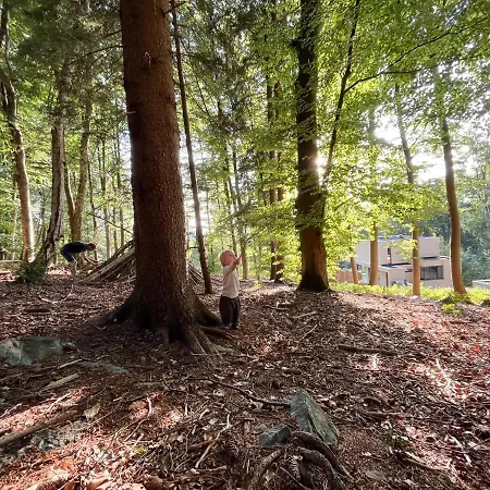 Gite Des Bois De