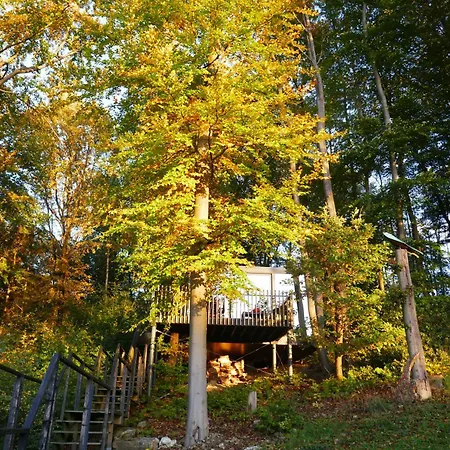 Gite Des Bois De *