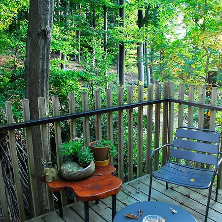 فيلة Des Bois De *