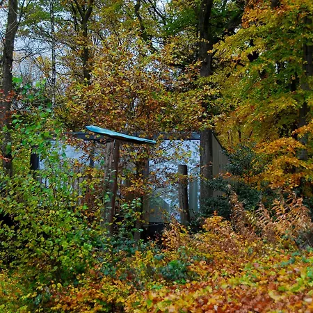 Gite Des Bois De Villa