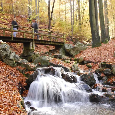 Gite Des Bois De Spa