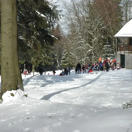 Des Bois De