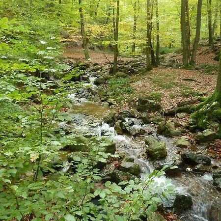 וילה Des Bois De