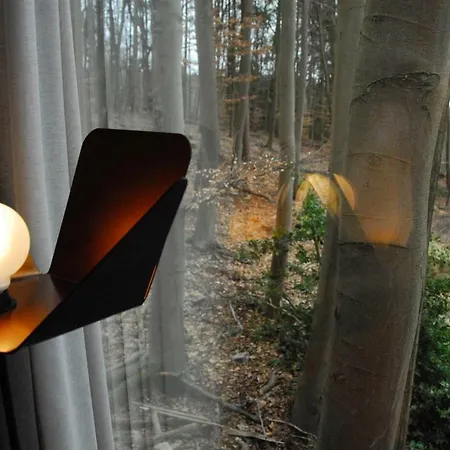 فيلة Des Bois De