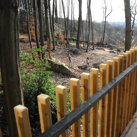 Gite Des Bois De *