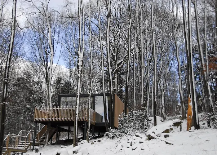 Villa Gite Des Bois De