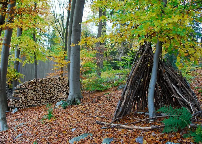 Villa Gite Des Bois De