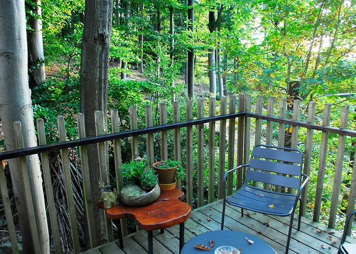 Villa Gite Des Bois De *