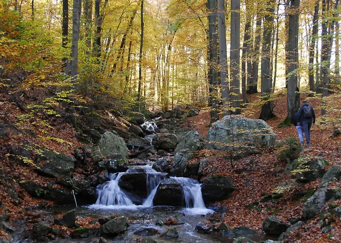 Gite Des Bois De Villa Spa