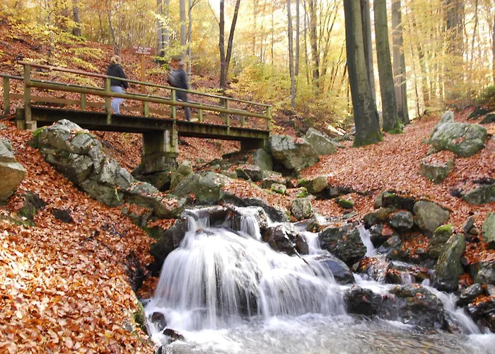 Gite Des Bois De Spa