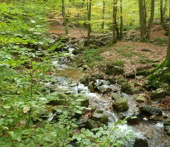 Villa Gite Des Bois De