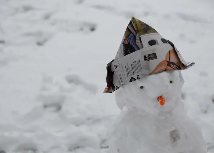 Des Bois De * سبا